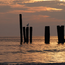 strand-zeeland